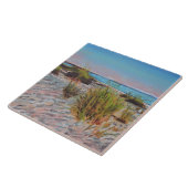 アンナマリアアイランド，フロリダビーチ絵画ズ タイル (側面)