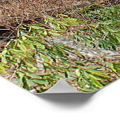 アンナルビー滝 ポスター (角)