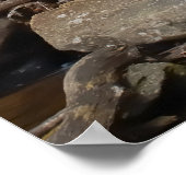 アンナルビー秋グルジア ポスター (角)