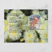 アンナルースのキャベツ転がレシピはがき ポストカード (正面)