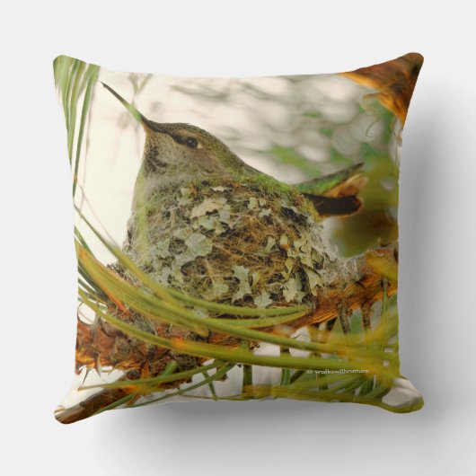 アンナ素晴らしのハミングバードの母を巣に クッション (裏面)