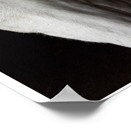 アンナ・ブレイクの馬に関する引用文とポスター。 ポスター (角)