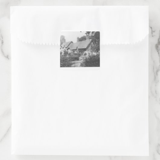 アンヌハサウェイのコテージ スクエアシール (バッグ)