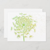 アンヌ女王のレースの贈り物と好意 ポストカード (正面/裏面)