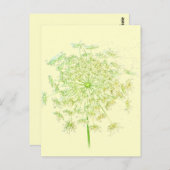 アンヌ女王のレースの贈り物と好意 ポストカード (正面/裏面)