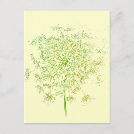 アンヌ女王のレースの贈り物と好意 ポストカード (正面)