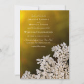 アンヌ女王のレースの遠結婚い日光 招待状 (正面)