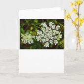 アンヌ女王のレース、カード カード (黄色い花)