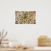 アンヌ女王のレース ポスター (キッチン)