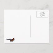 アンヌ女王レースのワイルドフラワーの写真 ポストカード (裏面)