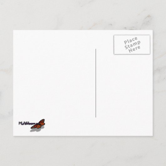 アンヌ女王レースのワイルドフラワーの写真 ポストカード (裏面)