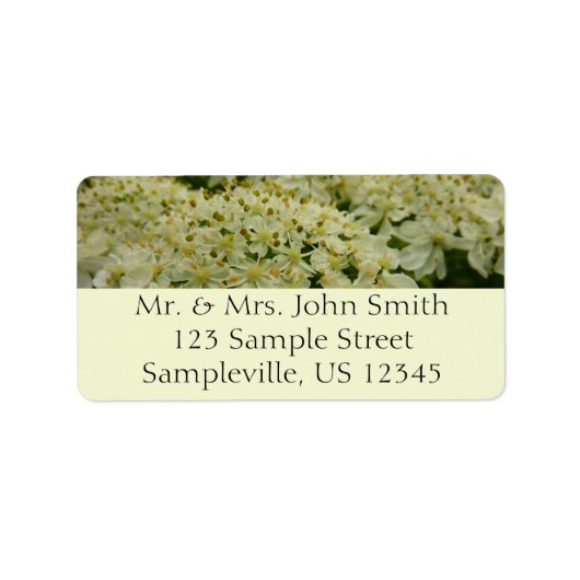 アンヌ女王レースのワイルドフラワーの写真 ラベル (正面)