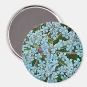 アンヌ女王レースの花 マグネット (正面/裏面)