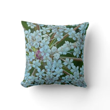 アンヌ女王レース白い花