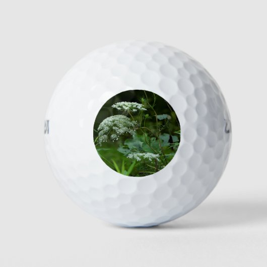 アンヌ女王レース野花 ゴルフボール (正面)