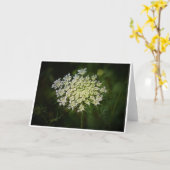 アンヌ女王レース、カード カード (黄色い花)