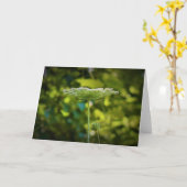 アンヌ女王レース、カード カード (黄色い花)