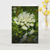 アンヌ女王レース、カード カード (黄色い花)