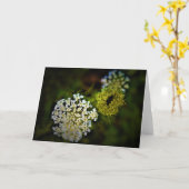 アンヌ女王レース、カード カード (黄色い花)