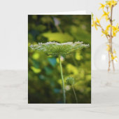 アンヌ女王レース、カード カード (黄色い花)