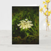 アンヌ女王レース、カード カード (黄色い花)