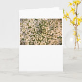 アンヌ女王レース、カード カード (黄色い花)