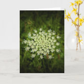 アンヌ女王レース、カード カード (黄色い花)