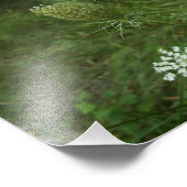 アンヌ女王レース フォトプリント            (角)