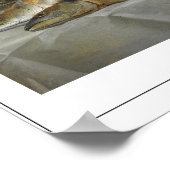 アンヌ・ヴァレーコースター・ゼディング・アート・ポスター#2 ポスター (角)