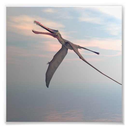 アンハングエラ先史時代の鳥 フォトプリント            (正面)