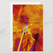 アンバーと暗い赤紫色のレインボードラゴンフライ 便箋 (正面/裏面)