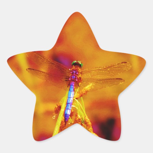 アンバーと暗い赤紫色のレインボードラゴンフライ 星シール (正面)