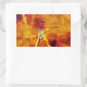 アンバーと暗い赤紫色のレインボードラゴンフライ 長方形シール (バッグ)