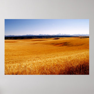 アンバーウェーブプリント ポスター