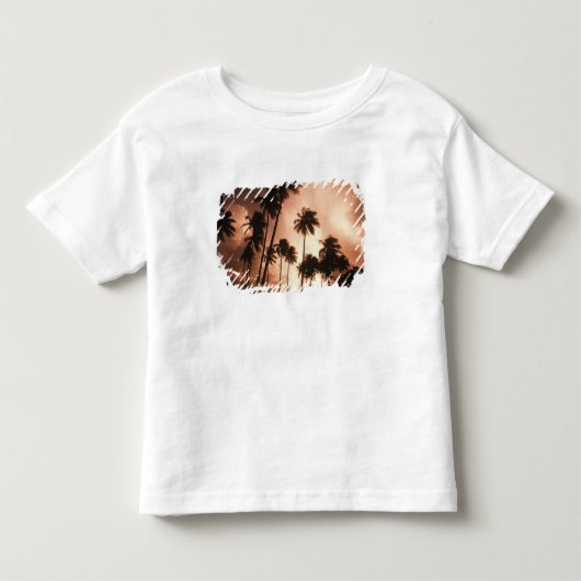 アンバーグリス島、ベリーズ、中央アメリカ 2 トドラーTシャツ (正面)