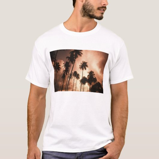 アンバーグリス島、ベリーズ、中央アメリカ 2 Tシャツ (正面)
