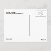 アンバーモンキー ポストカード (裏面)