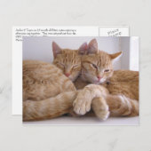 アンバー&トペス ポストカード (正面/裏面)