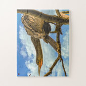 アンヒンガスネークバードフロリダ ジグソーパズル (縦)