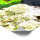 アンヒンガ鳥、エバーグレーズ国立公園（フロリダ州） ポスター (角)