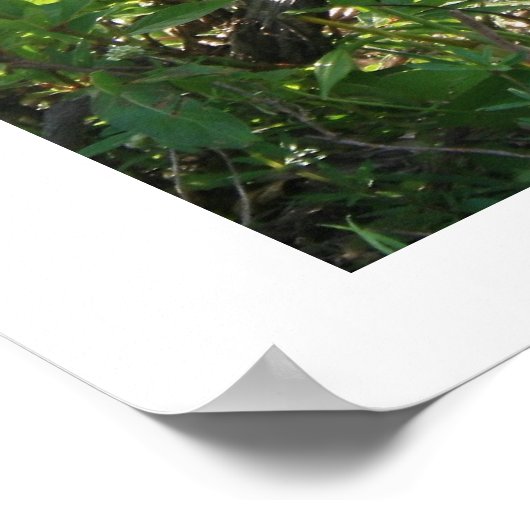 アンヒンガ ポスター (角)