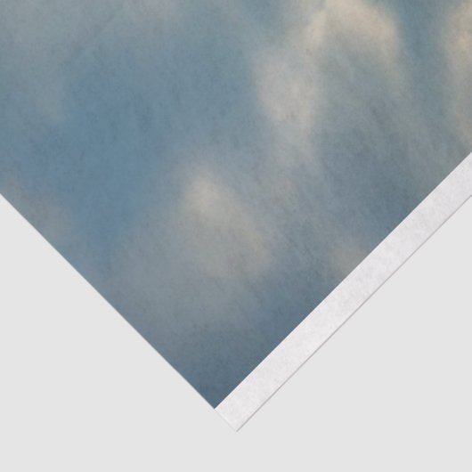 アンビエントウーマンを天使としてビーチデコページ 薄葉紙 (詳細)