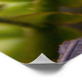 アンファーリングファーンフォンド ポスター (角)