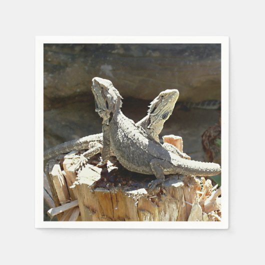 アンフィオンとゼツス スタンダードカクテルナプキン (正面)