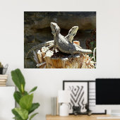 アンフィオンとゼツス ポスター (ホームオフィス)