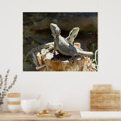 アンフィオンとゼツス ポスター (キッチン)