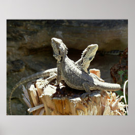 アンフィオンとゼツス ポスター