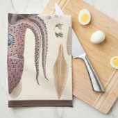 アンブレライカヴィンテージ海洋生物 キッチンタオル (四つ折り)