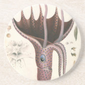 アンブレライカヴィンテージ海洋生物 コースター (正面)