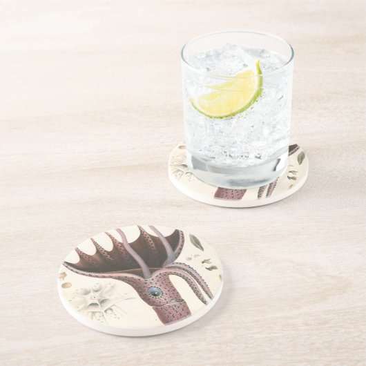 アンブレライカヴィンテージ海洋生物 コースター (側面)